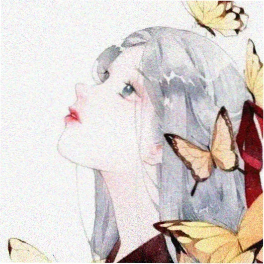 观众头像一